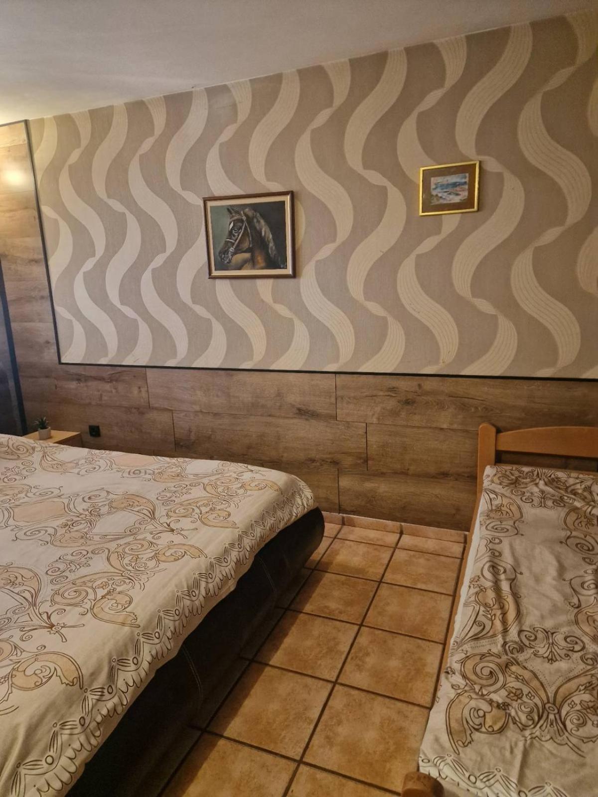 Guest House Maja Novi Sad Exterior photo